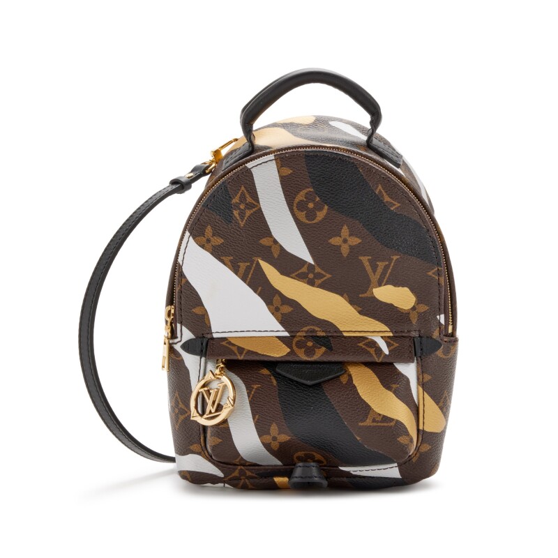 Louis Vuitton Multicolor Monogram